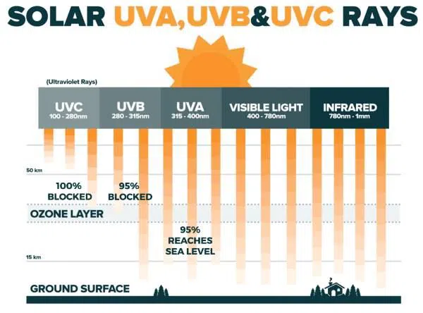 UV absorbed by ozone layer (1)