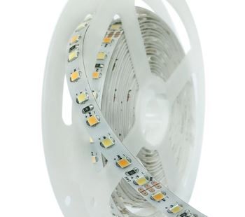 Dual Color CCT LED Strip